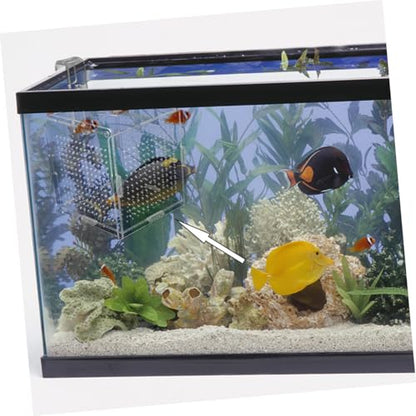 1set Acrylic Fish Breeding Box with Cups Hook Isolation Container for Aquarium Transparent Design for Easy Observation Feeding for Betta Shrimp Care