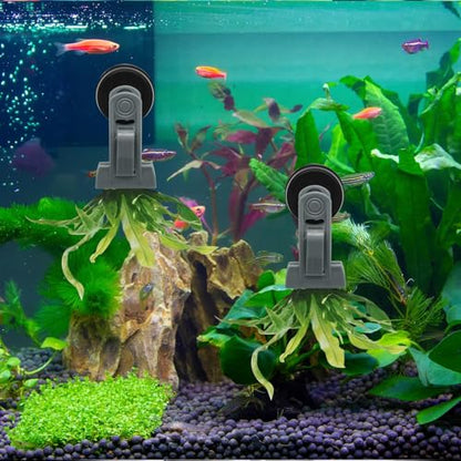 2Pcs Goldfish Feeder, Saltwater Aquarium Accessories Supplies Algae Magnet Seaweed Feeder Aquarium Magnetic Clips, Fish Tank Feeding Ring Suitable for Aquatic Pets - color: 2Pcs