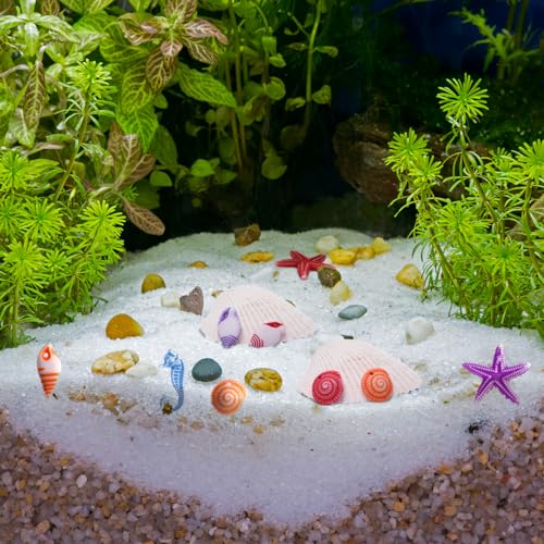 TENDYCOCO Mini Beach Seashells Sea Star Seahorse Natural Conch for Home Decorations Beach Theme Party Wedding DIY Crafts Fish Tank Vase Fillers Bonsai Decor 48pcs