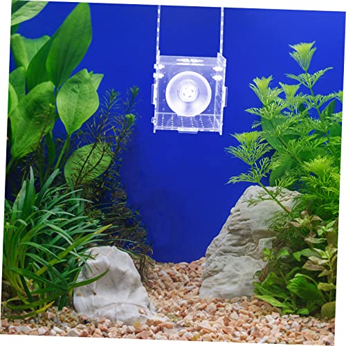 Isolation Box for Fish Transparent Breeding and Incubation Separator for Aquariums Easy to Clean and Store for Fish and Observation