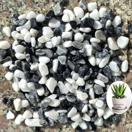 1LB Natural Gravel Pebbles, Cactus and Succulent Plants Pebbles, Small Decorative Polished Stones, Mixed Color River Rocks for Potted Plants, Vases, Aquariums, Terrarium and Outdoor Gardening - color: 1LB Mixed Color