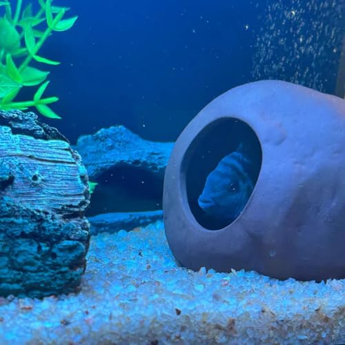 Aquarium Decorations Cichlid Stone Marine Rock Cave Decor Decorative Shelters Small Hiding Cave for Fish Betta Shrimp Cichlid Fish Tank Accessories Ornament