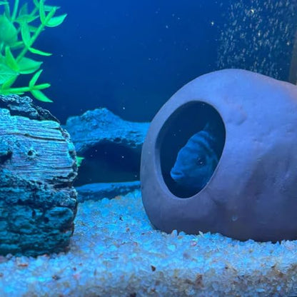 Aquarium Decorations Cichlid Stone Marine Rock Cave Decor Decorative Shelters Small Hiding Cave for Fish Betta Shrimp Cichlid Fish Tank Accessories Ornament