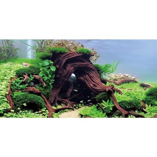 AWERT 36x24 inches Wood Aquarium Seaweed Aquarium Background River Bed & Lake Fish Tank Background Seagrass Aquarium Vinyl Background - size: 36x24in/90x60cm