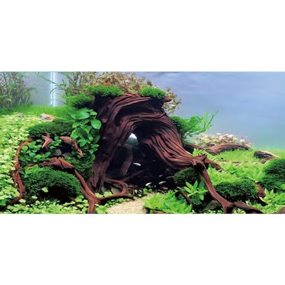 AWERT 36x24 inches Wood Aquarium Seaweed Aquarium Background River Bed & Lake Fish Tank Background Seagrass Aquarium Vinyl Background - size: 36x24in/90x60cm