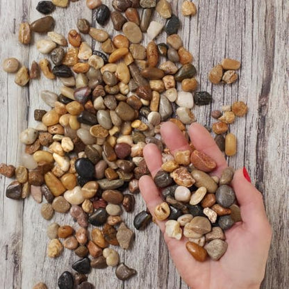 Royal Imports River Rocks, Aquarium Gravel – Natural 0.5"- 0.75" - 30 lbs | Decorative Ornamental Vase Filler Pebbles for Potted Plants, Terrariums, Vases, Succulents, Fish Tank Gravel, DIY & Crafting - size: Small - 30 lbs, style: Natural