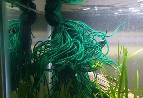 Spawning Mop - Floating or Weightless or Sinking - for Breeding Spawning Fish (Floating) - style: Floating