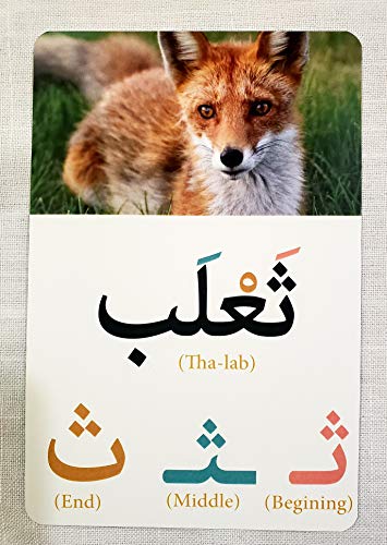 Animals Alphabet in Arabic Flash cards
