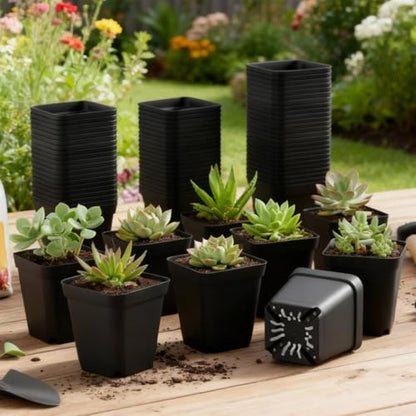 BTPLASTIK Square Nursery Pots 2.7 Inch 180 Pcs, Plastic Small Flower Pots with Drainage Holes, Sturdy Seedling pots for Planting, Cuttings (Black) - color: Black, size: 2.7 Inch-180P