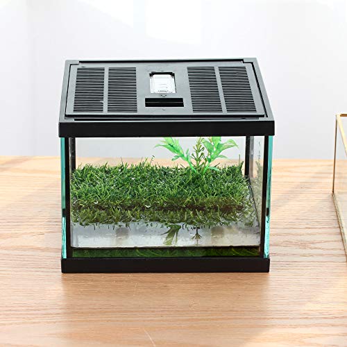 Small Glass Frog Terrarium Kit, 7.8x7.8x5.9'' for Tadpole, Amphibians, Insects Enclosure, Praying Mantis Habitat, with Green Artificial Turf Pad (excluding Animals)
