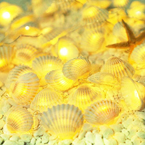 Natural Seashells String Lights, 40LED Beach Decoration USB Plug in with 8 Modes Remote Control, Waterproof Ocean Fairy Lights for Bedroom Party Indoor Outdoor Wedding Holiday Christmas - color: White