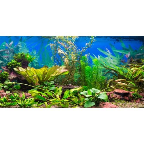 72x18 in Aquatic Plant Aquarium Backdrop Riverbed Fish Tank Background | AWERT Lush Underwater Green Plants Lake Landscape Vinyl Aquarium Background - size: 72x18in/180x45cm