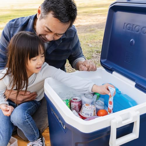 Igloo Maxcold Ice Block - color: XL