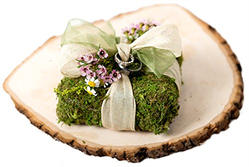 SuperMoss (22401) Instantgreen Moss Mat, Peel N Stick, 18 x 48in, Fresh green