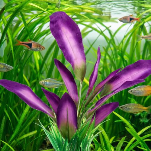 DIVINA VITAE Silk Aquarium Plants,Artificial Aquatic Water Grass Decoration | 2Pcs, for Betta Fish Tank, 10 Inch Tall, Purple