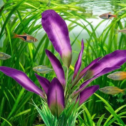 DIVINA VITAE Silk Aquarium Plants,Artificial Aquatic Water Grass Decoration | 2Pcs, for Betta Fish Tank, 10 Inch Tall, Purple