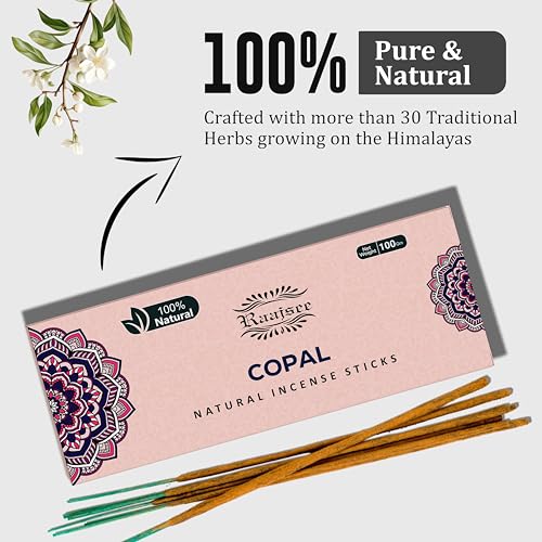 100% Natural Copal Incense Sticks 100 gm Pack, Charcoal Free –– Organic Non Toxic Insence Sticks, Made with Flowers - Meditation Gifts for Spiritual Cleansing - color: Copal