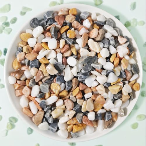3Lb Pebbles for Succulents,River Rocks for Succulent Plants | Decorative Stones Bonsai Garden Pebbles,Succulent Rocks,Small Aquarium Rocks for Landscaping ,Plants,Vase Fillers - color: Grey & White