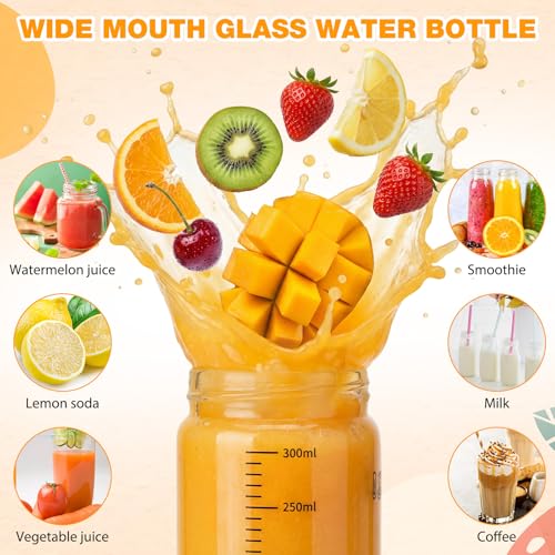 LemonRoad 12 Pack 10 oz Glass Juice Bottles Bulk Scale Wide Mouth Glass Water Bottles with Leakproof Stainless Steel Lids, Borosilicate Reusable Container for Juicing Smoothies Infused Water - size: 10 oz
