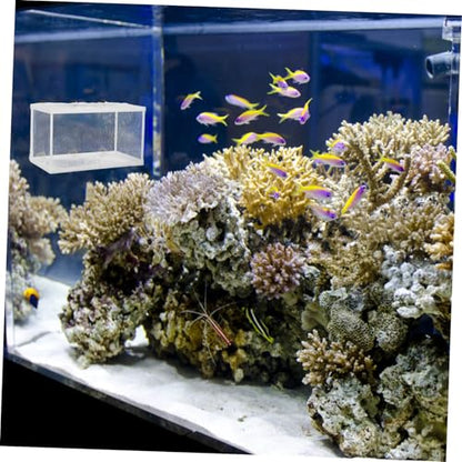 BESPORTBLE Fish Tank Baby Saver Separator Polyester Net Breeder Box Fish Large Aquarium Separator