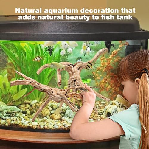 WDEFUN Natural Spiderwood for Aquarium Decor 3-Piece 7''-11'' Long Natural Driftwood Branches for Fish Tank Decorations - size: Spiderwood （7-11 inch pack of 3）