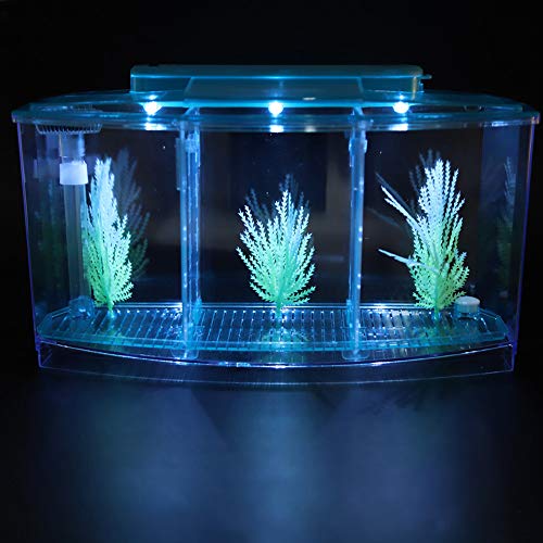 Aquarium Tank, Three Divisions LED Acrylic Fish Tank, Desktop Aquarium | Portable Fish Tank | Travel Fish Tank | Cool Fish Tank | Breeding Isolation Box Fishtank for Baby Fish