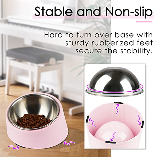 SUPERDESIGN Anti-Vomiting 15° Slanted Pet Bowl, L/2 Cup, Pink | 15° Tilted, Anti-Vomit & Neck Relief, Non-Slip Base, Detachable Stainless Steel Liner, Dishwasher Safe, for Cats & Dogs - color: Pink, size: L/2 Cup