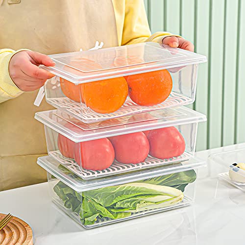 4PCS Food Storage Container, Plastic Food Containers X-Large | [With Removable Drain Plate and Lid], [Stackable Portable Freezer Storage Containers]-Tray to Keep Fruits, Vegetables, Meat - size: X-Large(4PCS)