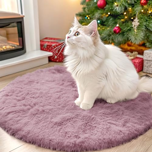 OLANLY Blush Round Rugs for Bedroom - Machine Washable, 2 ft Circle Area Rugs for Living Room, Soft and Fluffy Shaggy Carpet for Teen Girls and Boys, Nursery Rooms, Dorms, Home Decor Aesthetic - color: Blush, size: 2 Ft Round