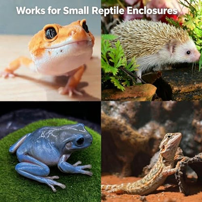 Bearded Dragon Tank Cleaning Kit, Reptile Enclosure Cleaning Set with Mini Dustpan, Brush, Scraper & Cleaning Cloth, Small Reptile Cleaning Accessories for Lizard, Gecko, Hedgehog Glass Terrarium