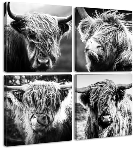 DJSYLIFE Highland Cow Canvas Wall Art, Farmhouse Decor 12"x12" - color: Cow, size: 12"L x 12"W x 4 Pieces