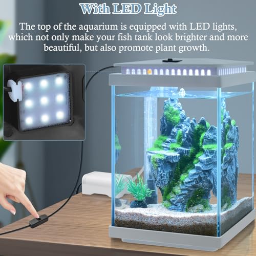Small Glass Aquarium, 1 Gallon Desktop Fish Tank, Betta Fish Tank, Mini Aquarium Starter Kit with Air Pump LED Light Decoration Water Changer Fish Net (White) - color: White