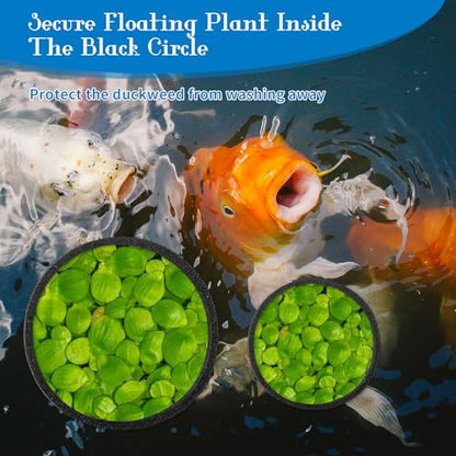 10PCS Fish Feeding Ring Set, Aquarium Floating Plant Barrier, Multi-Size Betta Feeding Rings for Fish Tank, Black Floating Food Feed-ing Rings