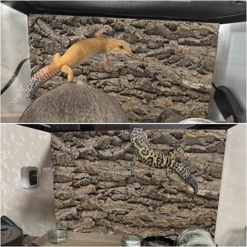 PINVNBY Natural Cork Bark Terrarium Background,15.74x11.81 Inches Reptile Tank Backdrop 3D Bearded Dragon Tank Climbing Wall Habitat Decor for Gecko Lizard Tortoise Frog Chameleon(1 PCS) - size: 【1 PCS】