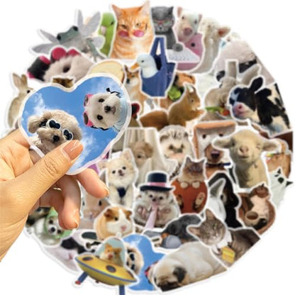 50Pieces Cat Dog Meme Stickers, Funny Animal Transparent PET Sticker Self-Adhesive Scrapbooking Stickers Supplies Journal Stocking Stuffers for Kid Adult Card Making Letters DIY (CDMEME-PET) - color: Cdmeme-pet