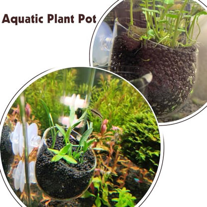 Tfwadmx 6 Pieces Aquarium Plant Holder Pot Aquarium Decor Crystal Glass Aquatic Plant Cup with Suction Cups Aquarium Fish Tank Decorations
