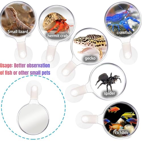 Aquarium Magnifier Suction Cup Plant Observation Aquarium Magnifier | Magnifying Glass With Suction Cup For Plant Observation, Viewing Coral, Taking Pictures, Fish Tank Accessories