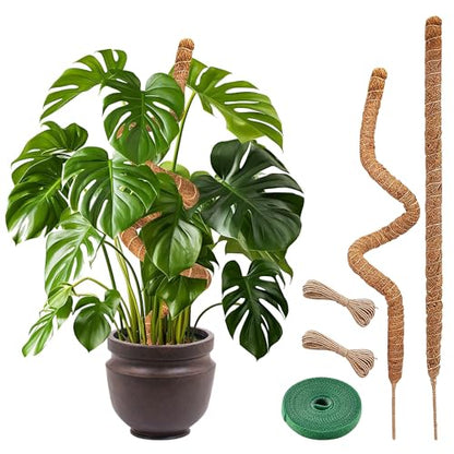 Plant Sticks Support Tall – Large Moss Pole Monstera Plant Support 48 Inch (1 Pack), Bendable Tall Moss Pole for Plants, Indoor Climbing Pole, Easy to Shape and Use - size: 48" - 1 Pack