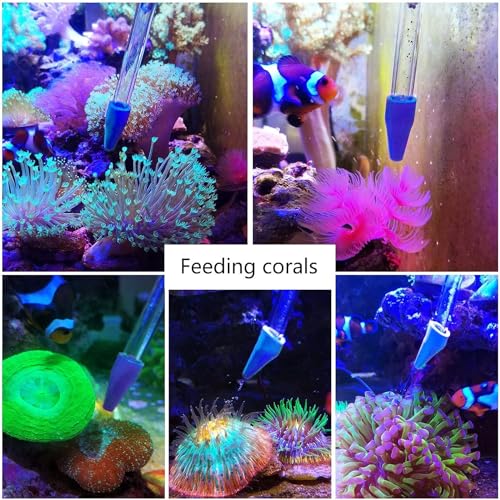 Coral Reef Grabber,Coral Feeder,Aquarium Veggie Feeder,Fish Tank Food Clip,Fish net(Reef Grabber and Coral Feeder Kits (Anti-Rust) - size: Reef grabber and coral feeder kits(ANTI-RUST)