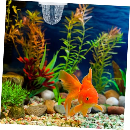 2pcs Fish Breeding Box Floating Hatchery Incubator for Guppies Efficient Isolation for Fry and Mother Fish Versatile Aquarium Setup