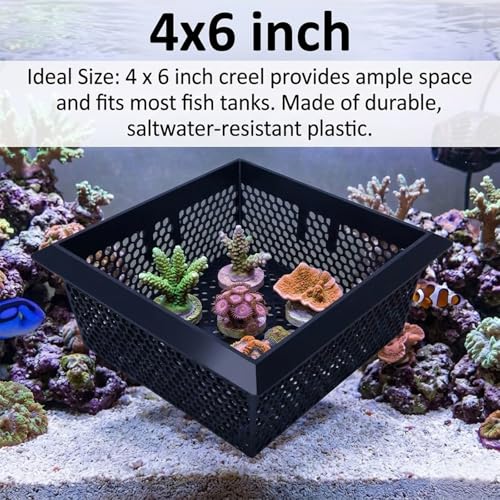 Floating Coral Basket for Reef Tanks (4x6 inch), Anemone and Frag Isolator Cup Mount, Saltwater Aquarium Safe