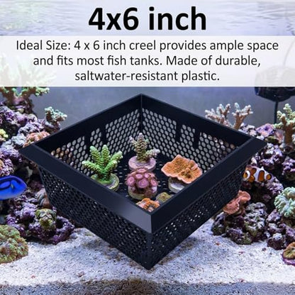Floating Coral Basket for Reef Tanks (4x6 inch), Anemone and Frag Isolator Cup Mount, Saltwater Aquarium Safe