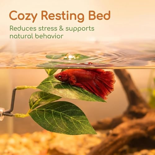 6 PCS Betta Leaf Hammocks & Feeding Ring, Betta Feeding Ring with Suction Cups, Aquarium Leaf Hammock Resting Bed for Fish Spawning, Breeding & Tank Decor & Fish Tank Accessories