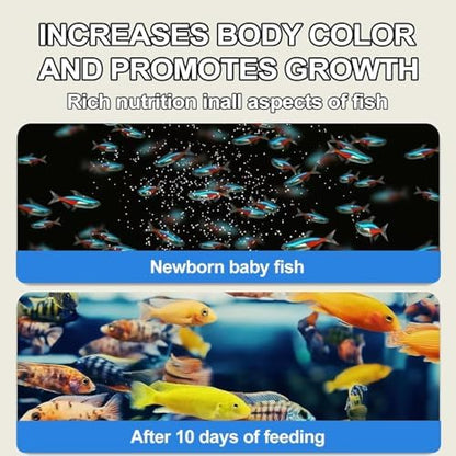 Bubble Magus Brine Shrimp Eggs/sea Monkey Eggs/Live Fish Food/Fairy Shrimp Egg Artemia high Protein Fish Food for brine Shrimp Hatchery 、 Clownfish Food 、 Reef roids Coral Food 、Feeder Guppies、beta - size: 1 Ounce (Pack of 1)