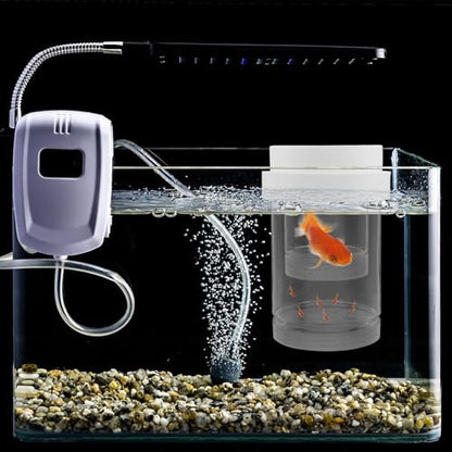 DOITOOL Fish Breeding Isolation Box for Aquarium – Floating Hatchery Incubator Small Coarse and Medium Fine Mesh Nets – Fish Separator Suitable for Guppy Betta Shrimp Fry Nursery