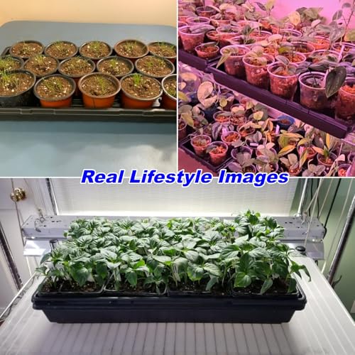 10-Pack Heavy-Duty 1020 Seed Trays No Holes, Thick Plastic Plant Flats | Reusable Growing Trays for Seed Starting, Propagation, Microgreens, Transplanting & Bottom Watering (21" x 11", 2.76" Deep) - color: Black, size: 10p 1020 Trays No Holes