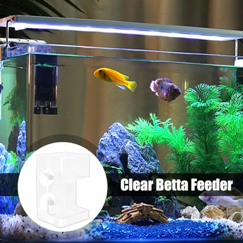 Betta Fish Feeding Tube - Clear Aquarium Feeder, Shrimp Feeder with Suction Cup | Transparent Fish Feeding Dish, Transparent Fish Feeder, Manual Betta Feeder, Fish Tank Feeding Tool for Aquatic Pets - size: square