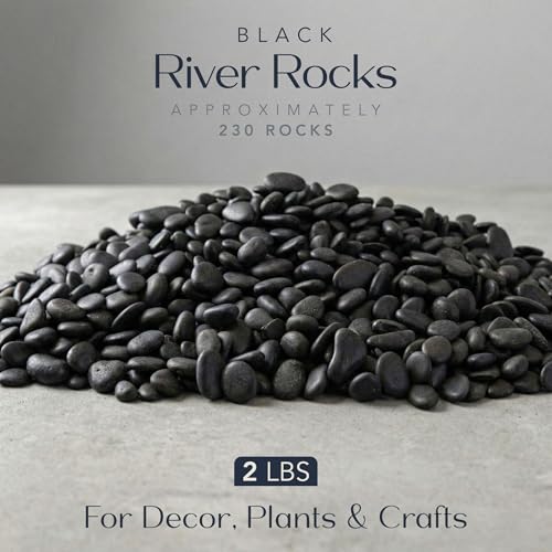 Royal Imports River Rocks, Aquarium Gravel – Black 0.5"- 0.75" - 2 lbs | Decorative Ornamental Vase Filler Pebbles for Potted Plants, Terrariums, Vases, Succulents, Fish Tank Gravel, DIY & Crafting - size: Small - 2 lbs, style: Black