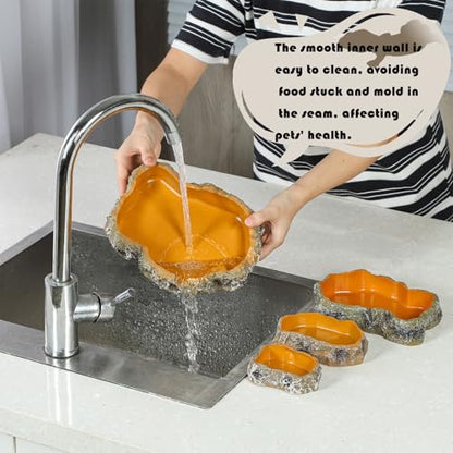 IBWell 5 Inch Reptile Food Dish Escape Proof Reptile Feeding Dish Resin Reptile Water Food Bowl for Bearded Dragon Chameleon Frog Snake Turtle Leopard Gecko - size: 5"