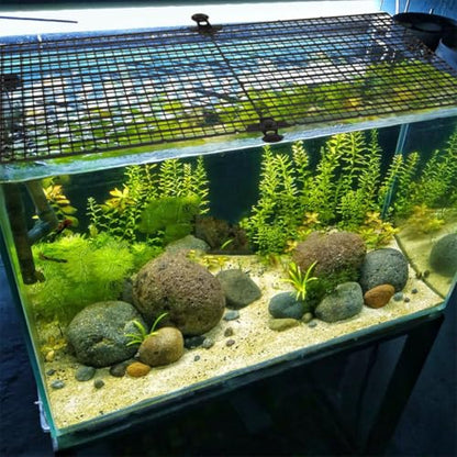 Kisangel 1set Fish Tank Divider Board Cups Jump Splicing Plate for Aquarium Separation Prevents Fish from Jumping for Betta